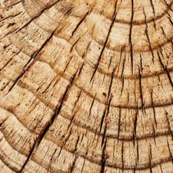 Indoor/Outdoor Faux Concrete Stump Accent Table Brown - Threshold™ Designed With Studio McGee 11 Indoor/Outdoor Faux Concrete Stump Accent Table Brown - Threshold™ Designed With Studio McGee -Home Furniture Shop GUEST 03deabfd 2b62 4725 94b4 09a321ea8678