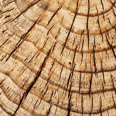 Indoor/Outdoor Faux Concrete Stump Accent Table Brown - Threshold™ Designed With Studio McGee 7 Indoor/Outdoor Faux Concrete Stump Accent Table Brown - Threshold™ Designed With Studio McGee - Image 5